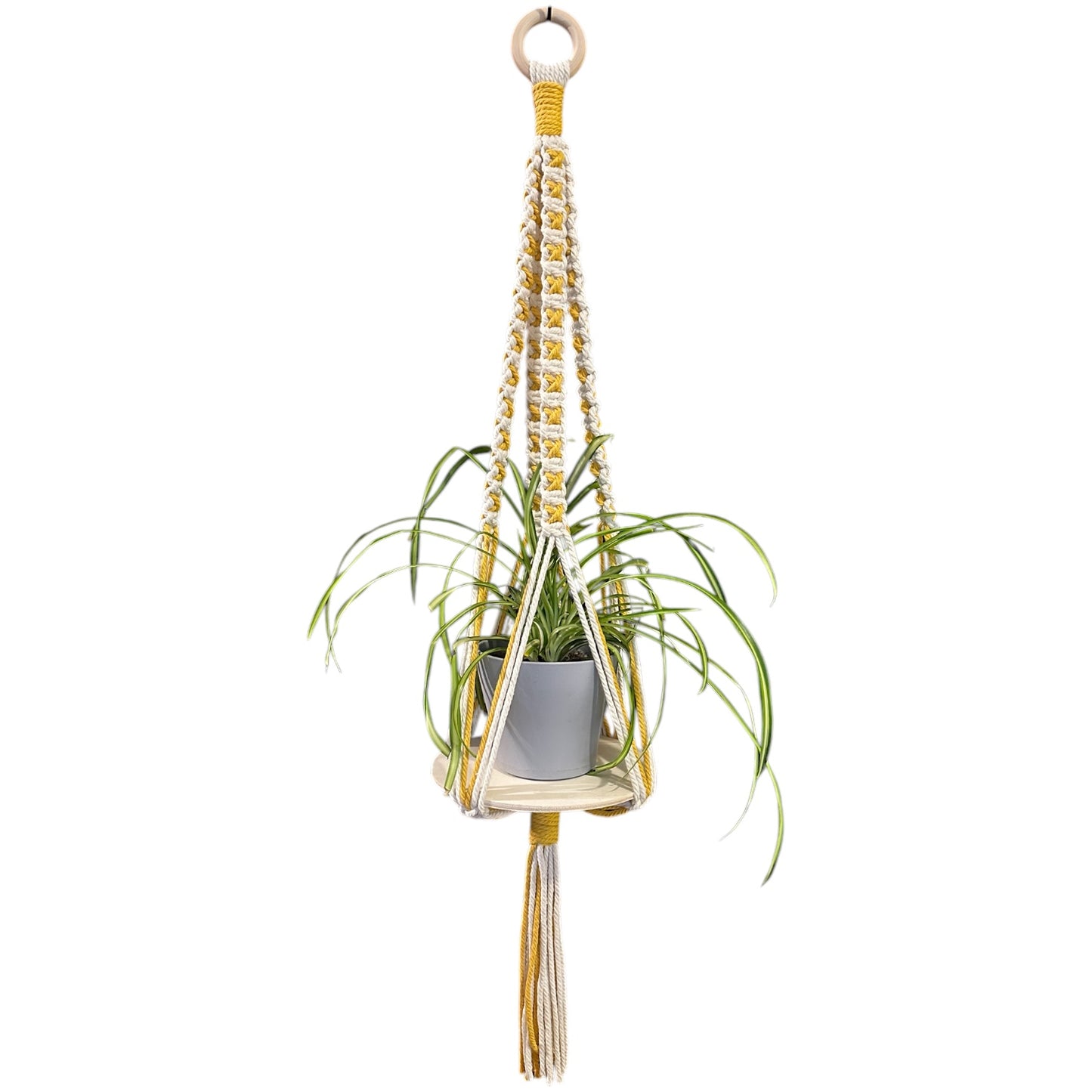 X-Pattern Plant Hanger