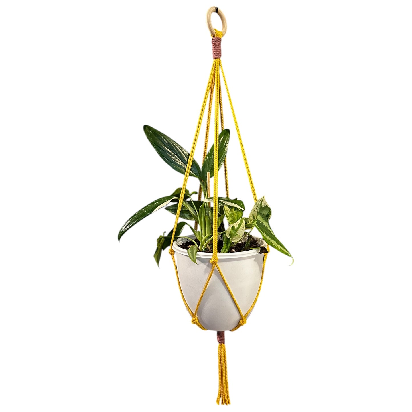 Plant Hanger | Knots