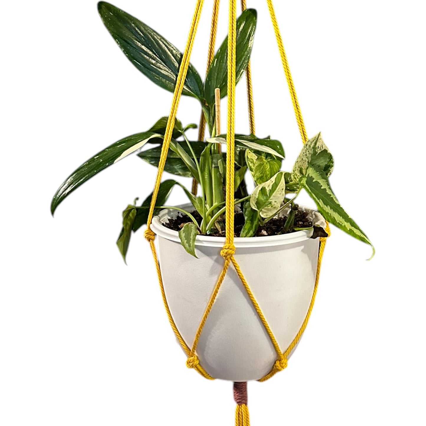 Plant Hanger | Knots