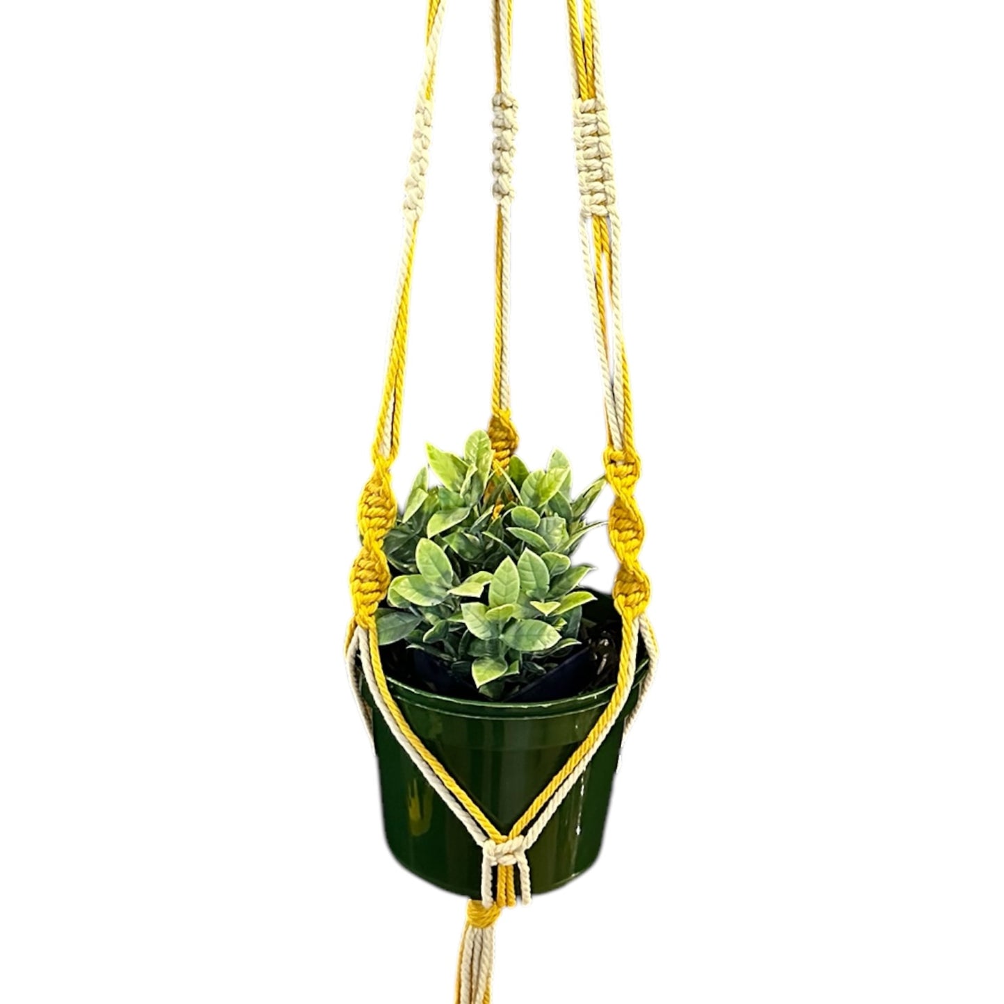 Plant Hanger | Spiral Square