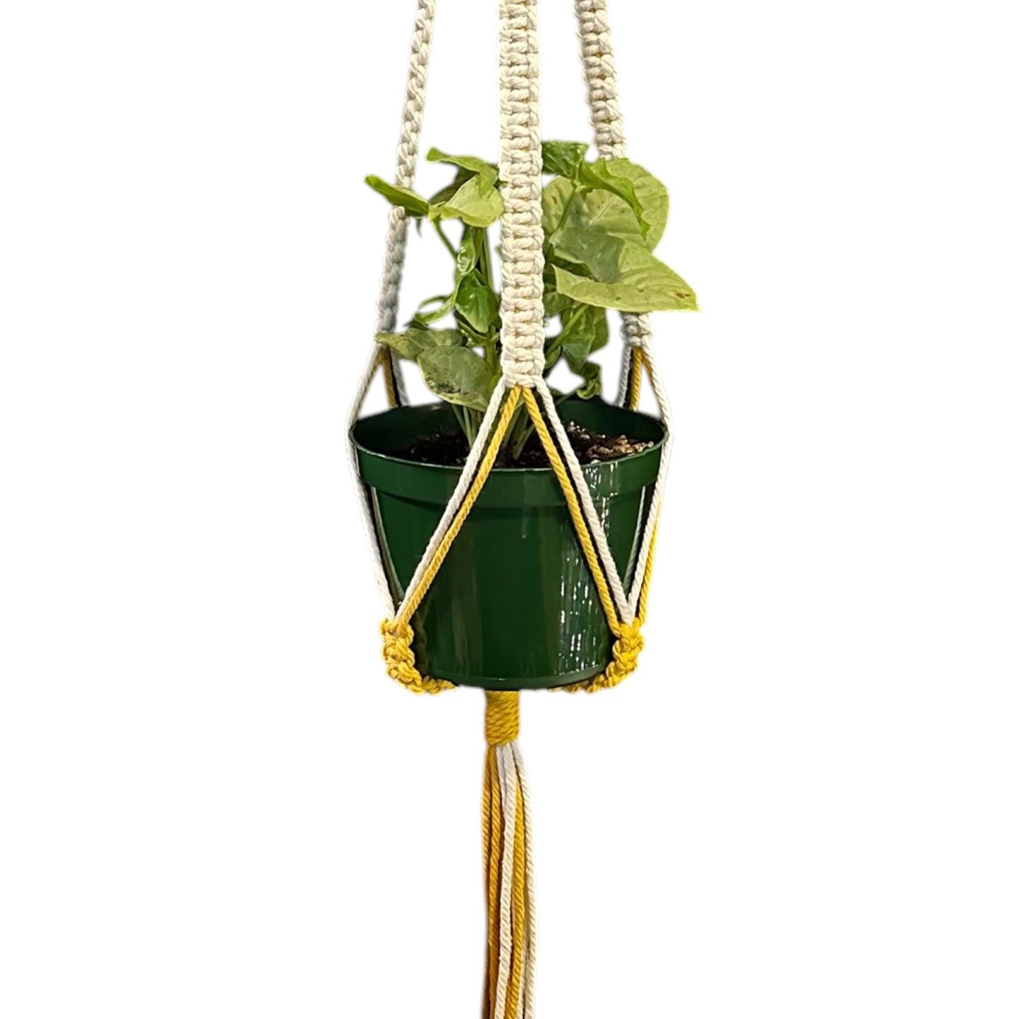 Plant Hanger | Square Knot