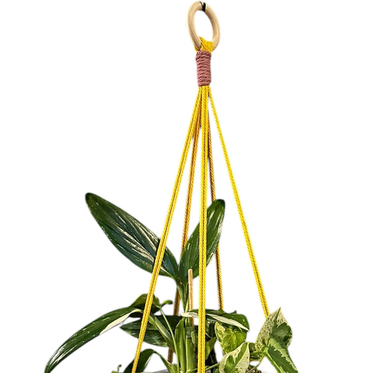 Plant Hanger | Knots