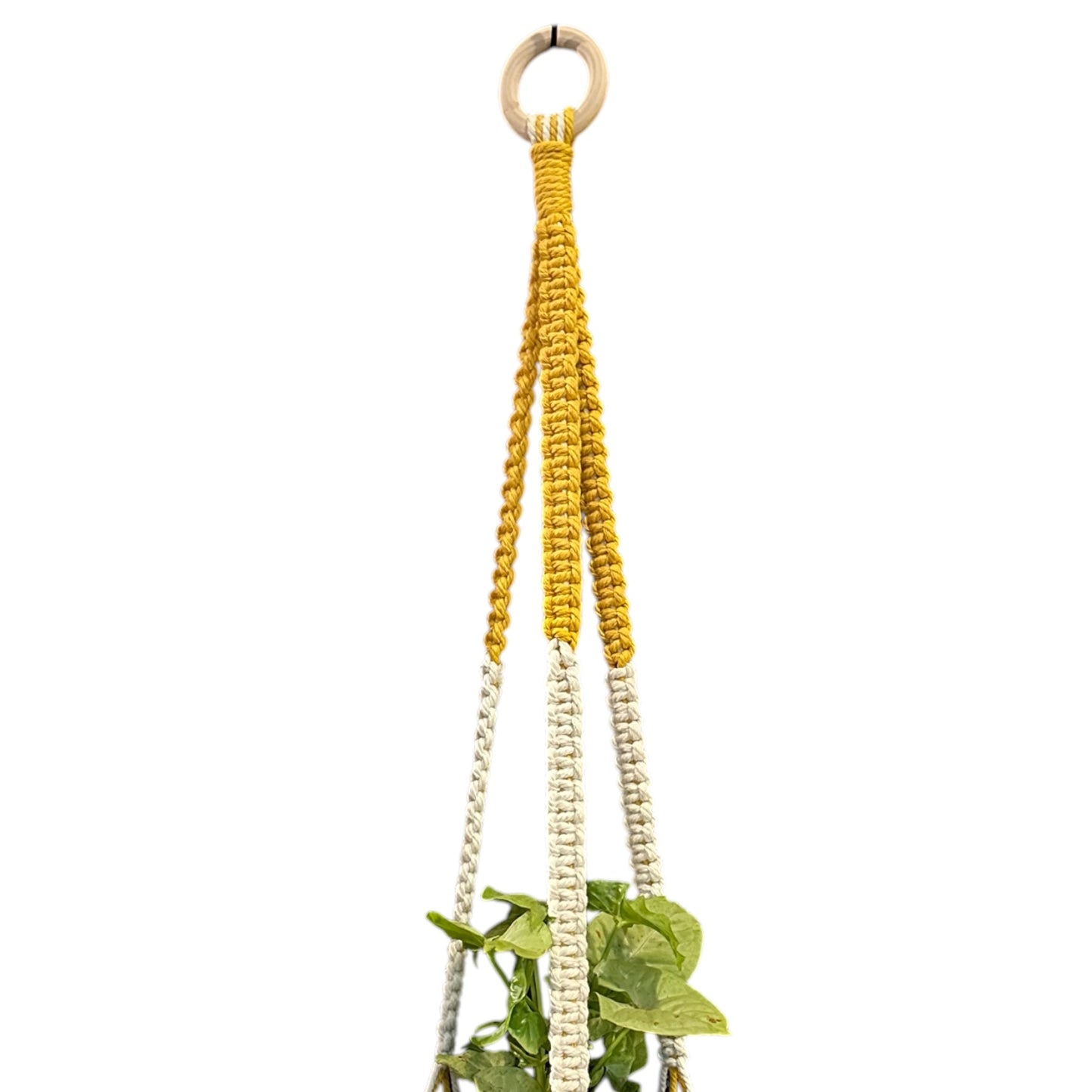 Plant Hanger | Square Knot