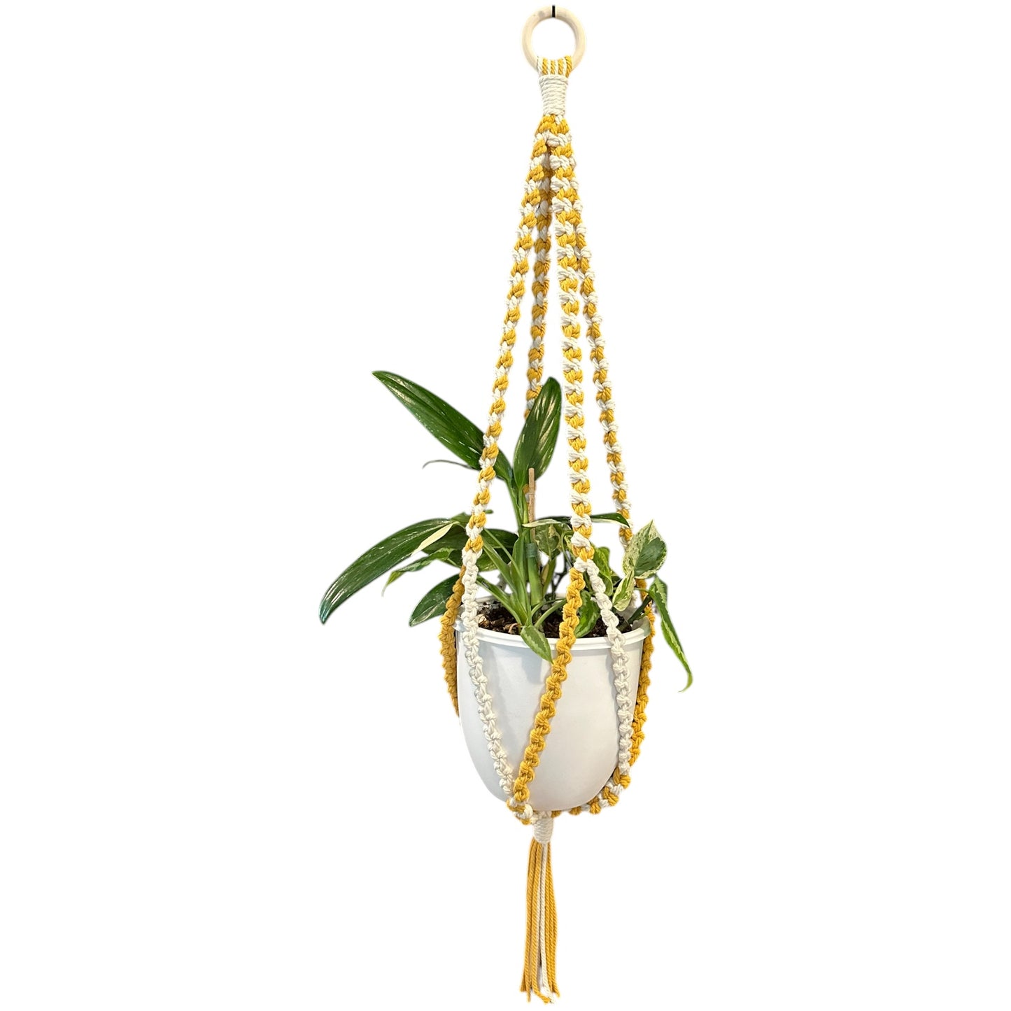 Plant Hanger | Half Hitch Knot