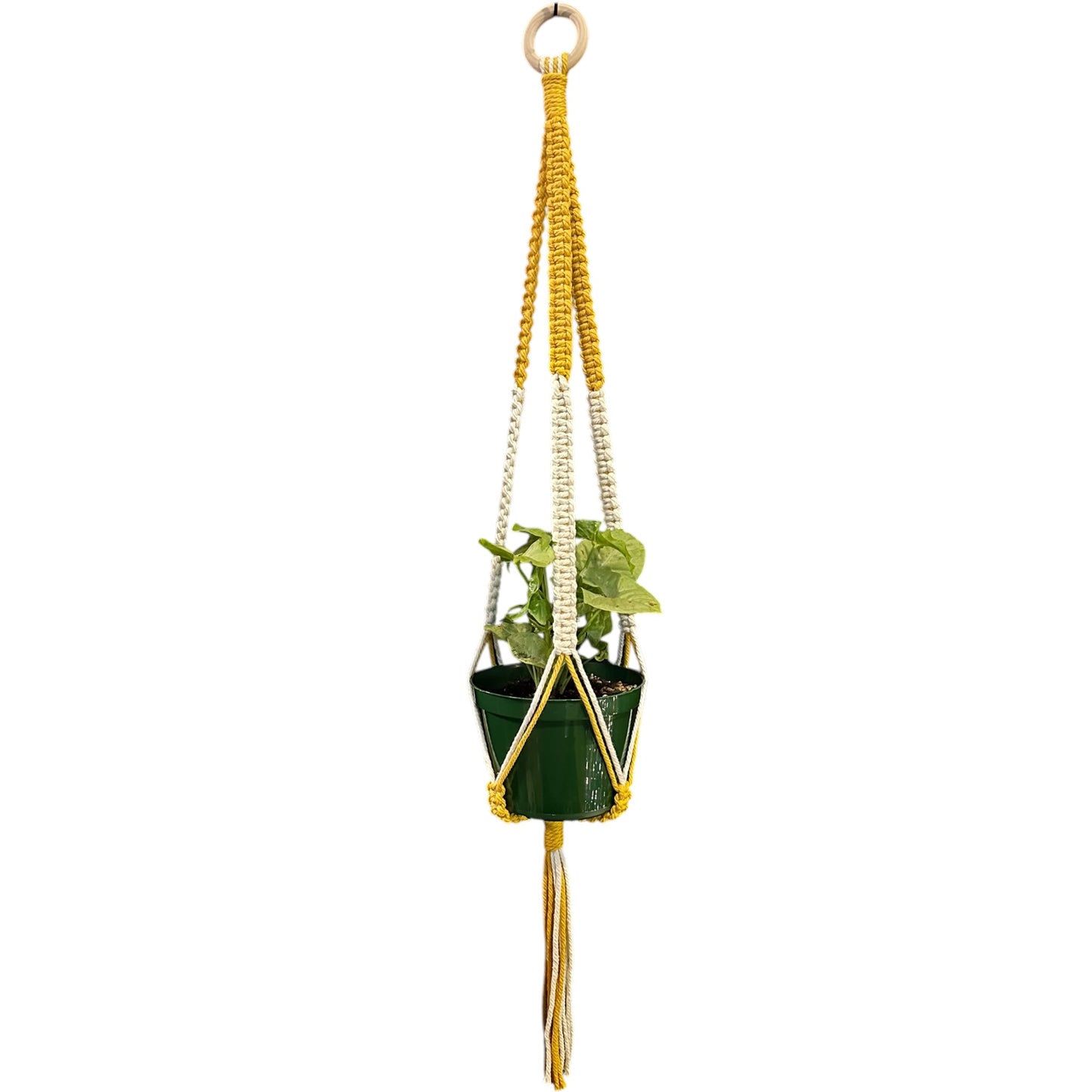 Plant Hanger | Square Knot