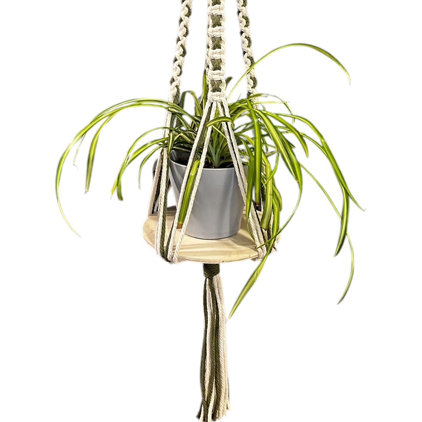 X-Pattern Plant Hanger