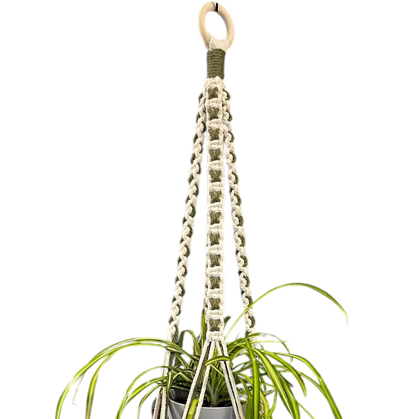 X-Pattern Plant Hanger