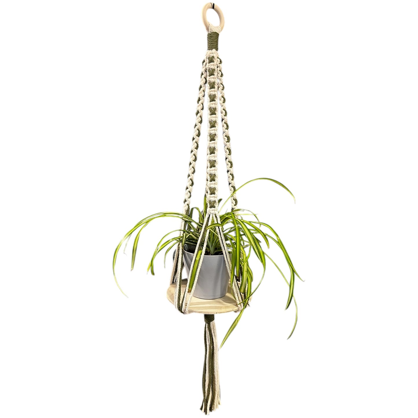 X-Pattern Plant Hanger