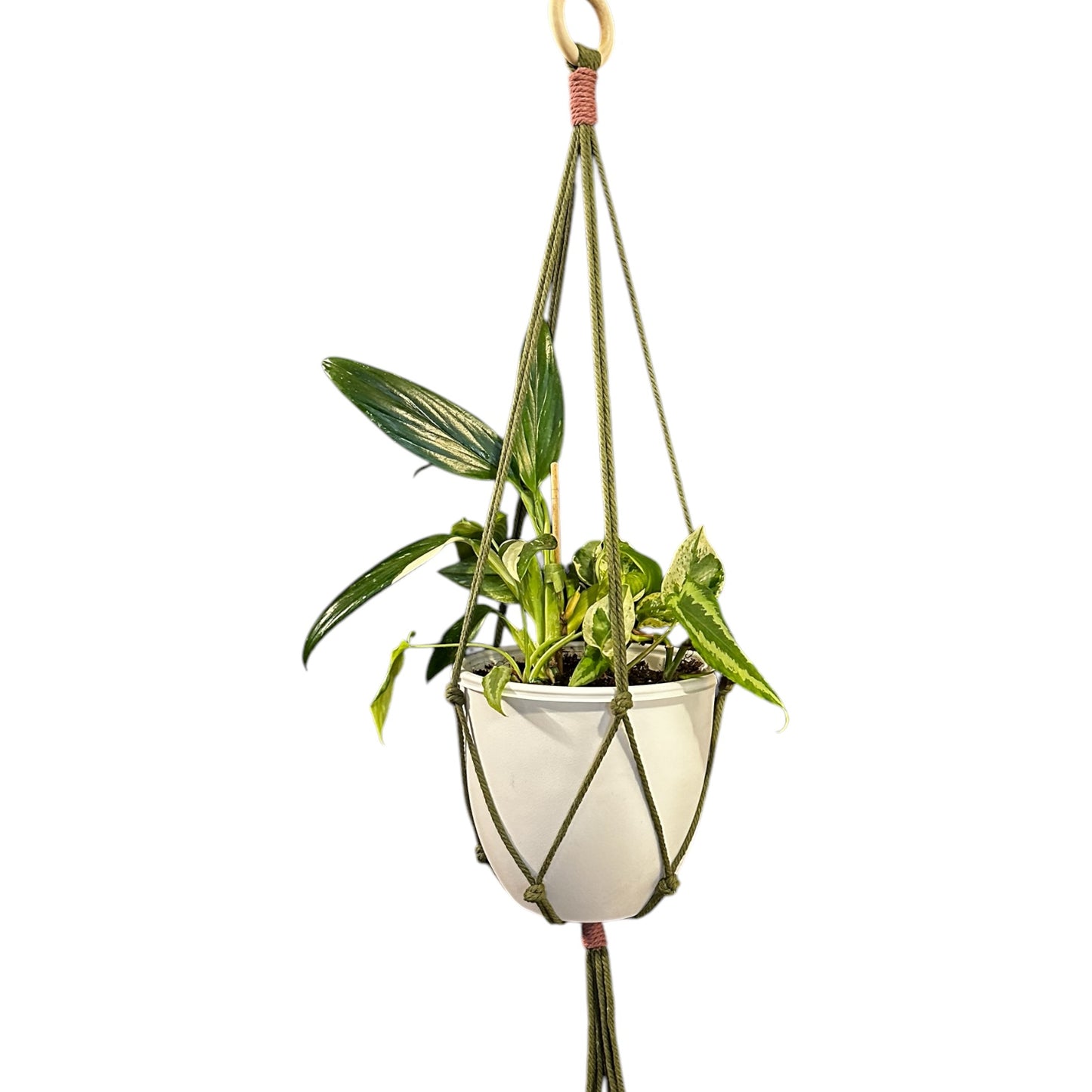 Plant Hanger | Knots