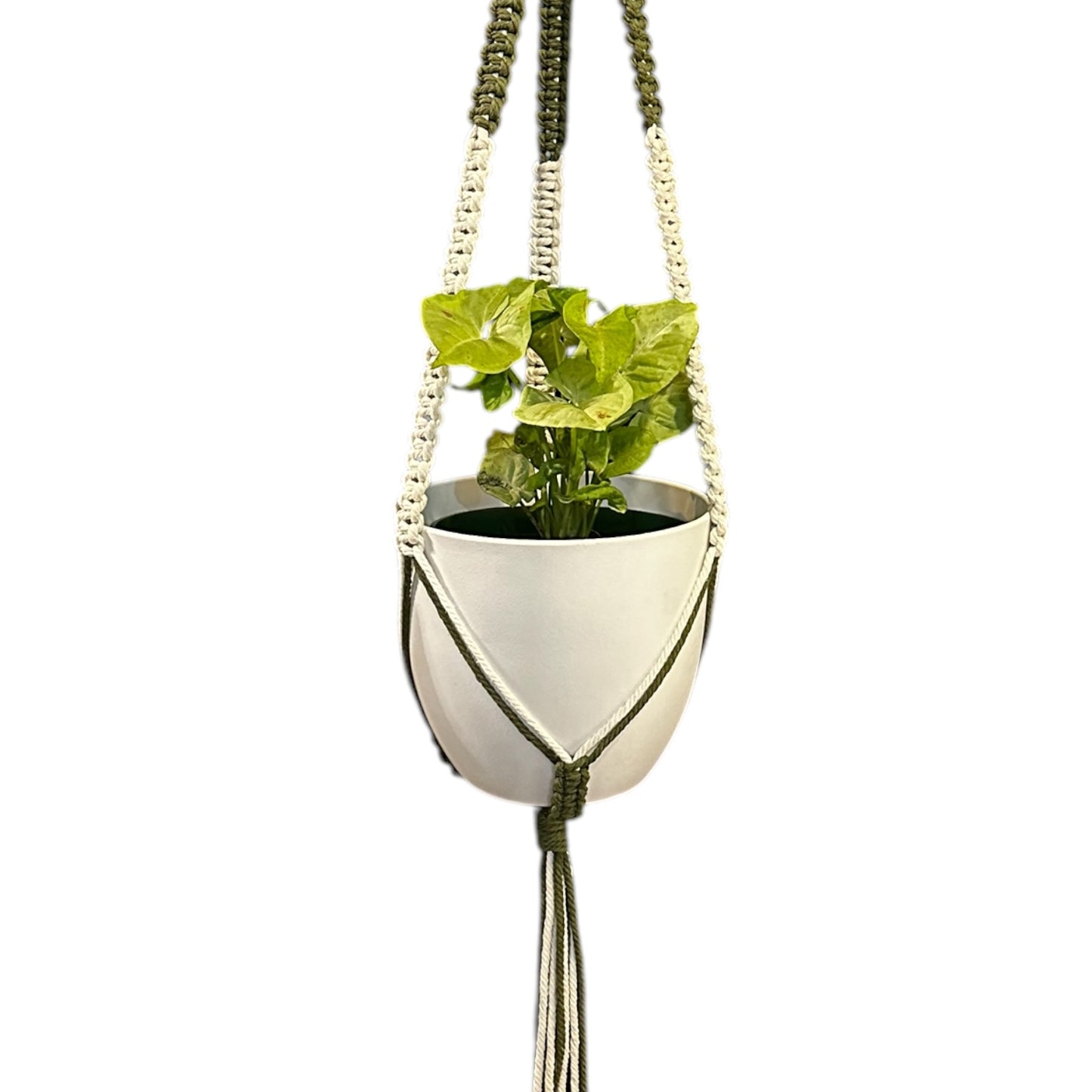 Plant Hanger | Square Knot