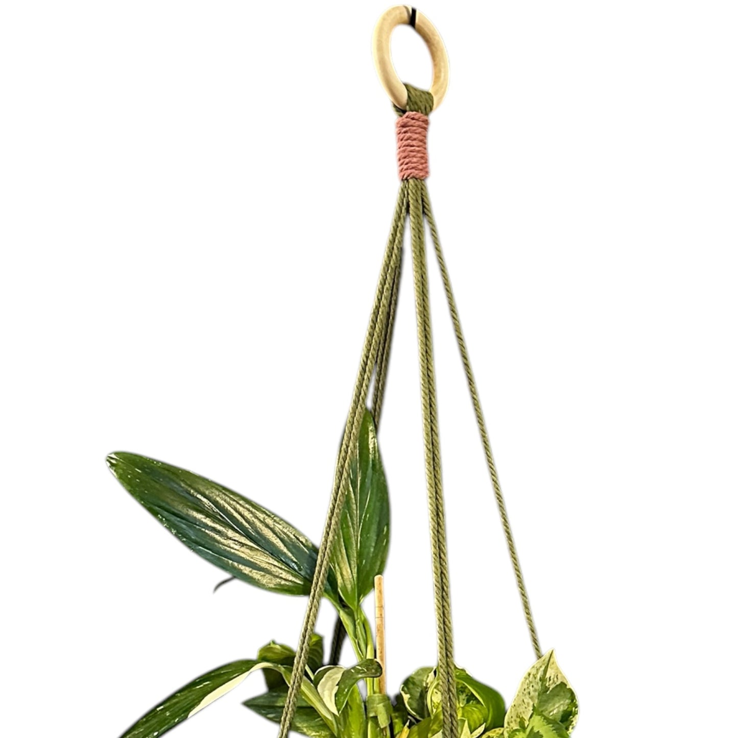 Plant Hanger | Knots