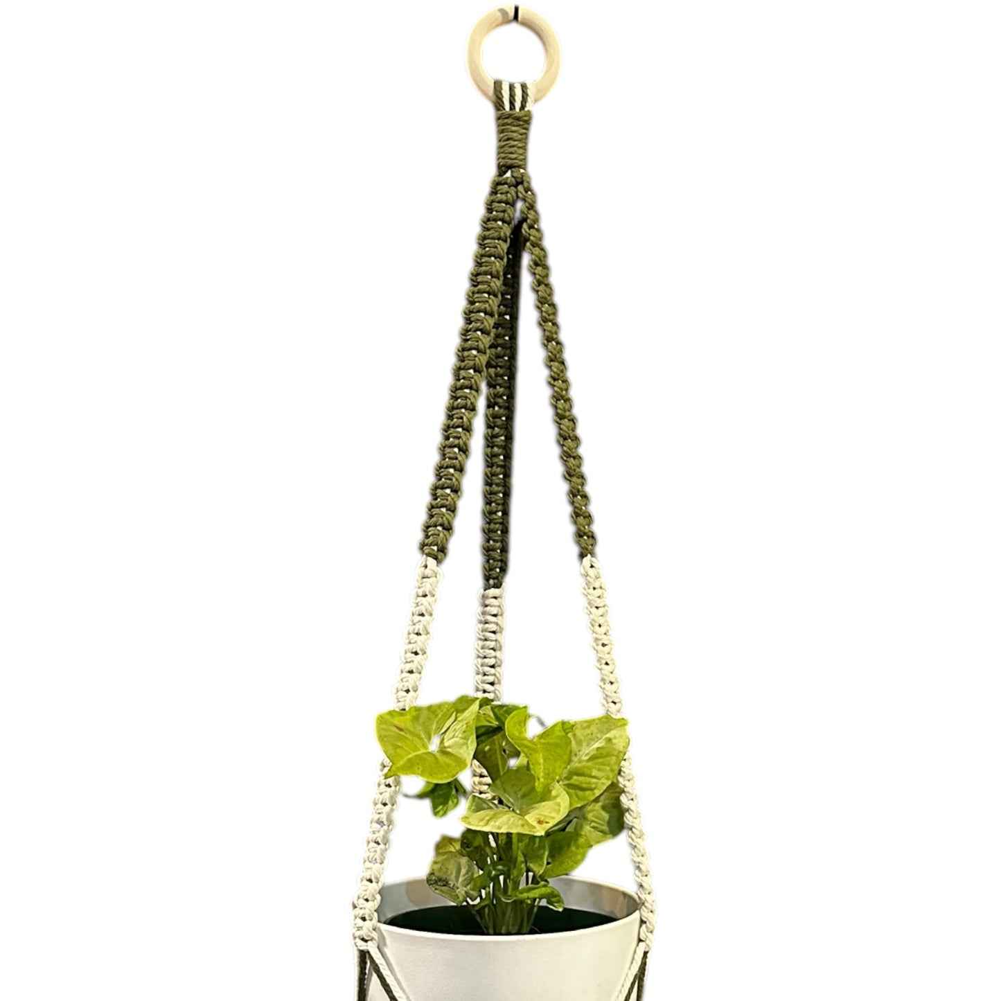 Plant Hanger | Square Knot