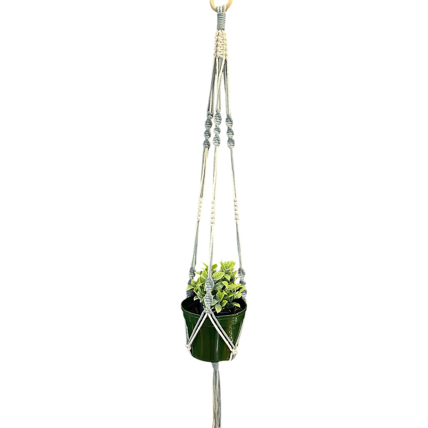 Plant Hanger | Spiral Square