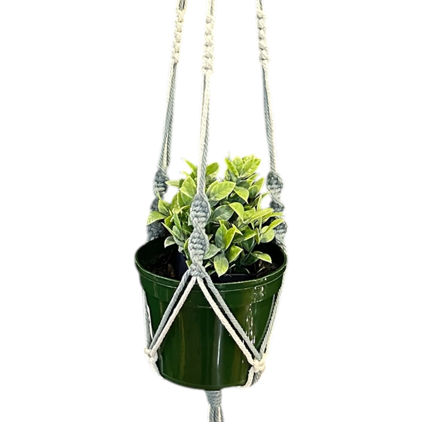 Plant Hanger | Spiral Square