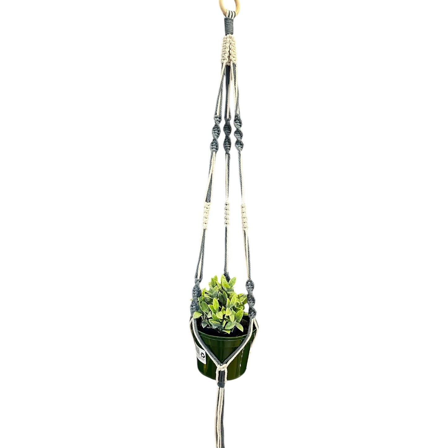 Plant Hanger | Spiral Square