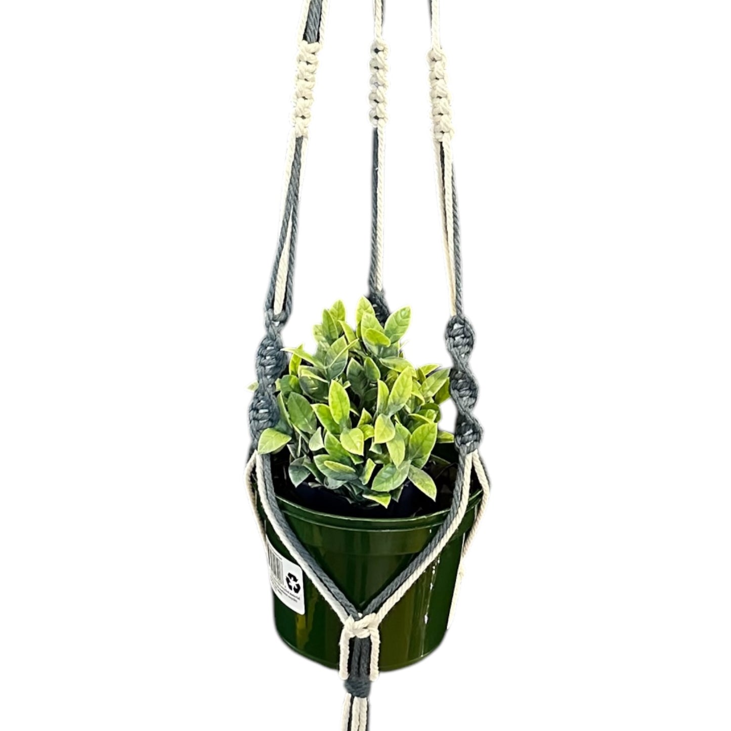 Plant Hanger | Spiral Square