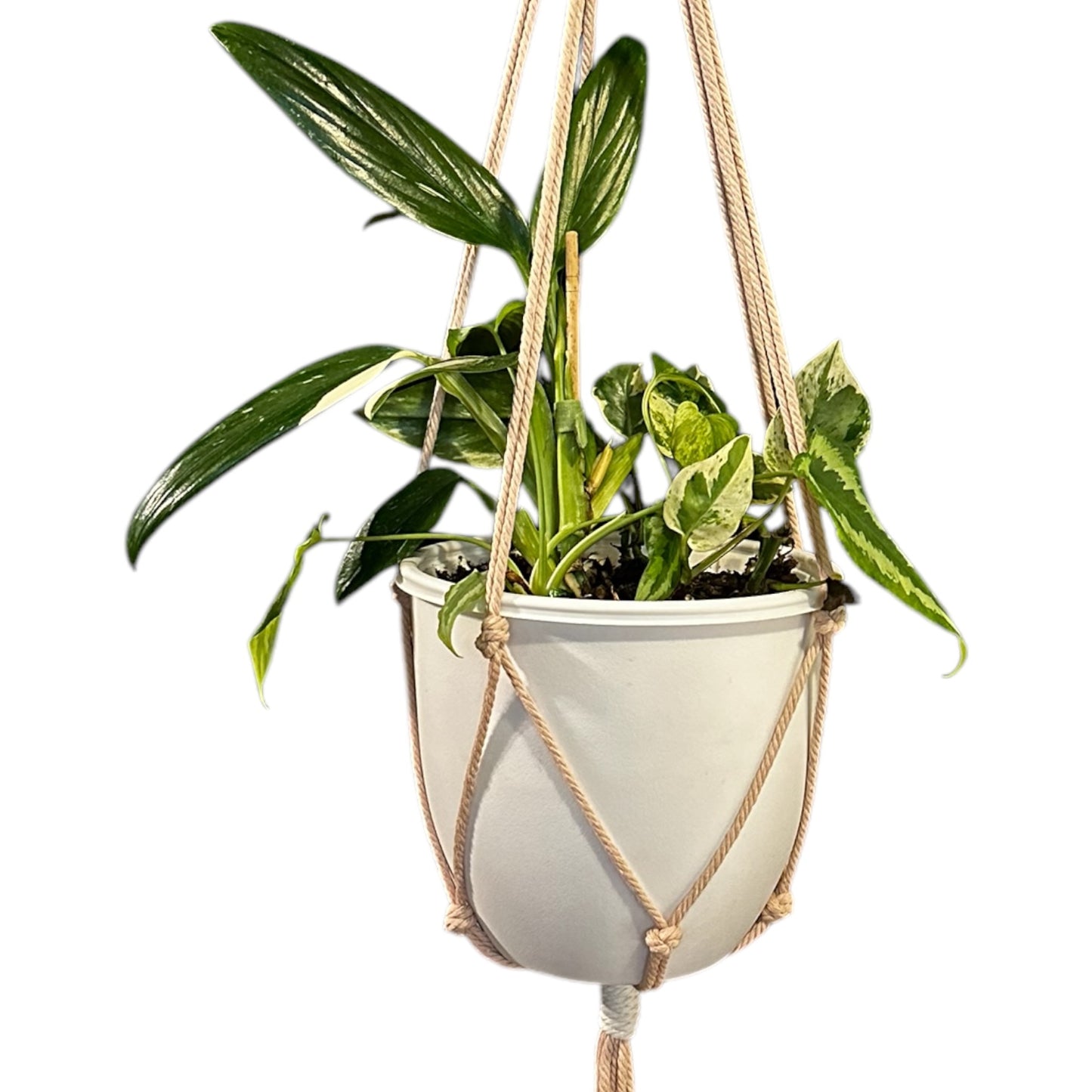 Plant Hanger | Knots