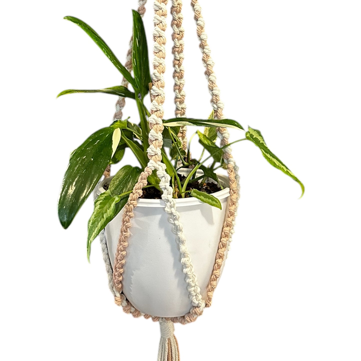 Plant Hanger | Half Hitch Knot