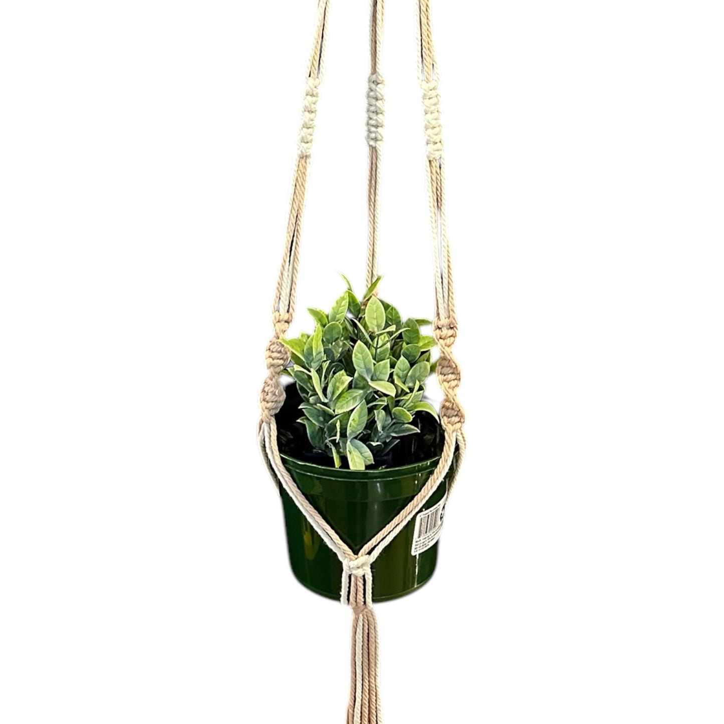 Plant Hanger | Spiral Square