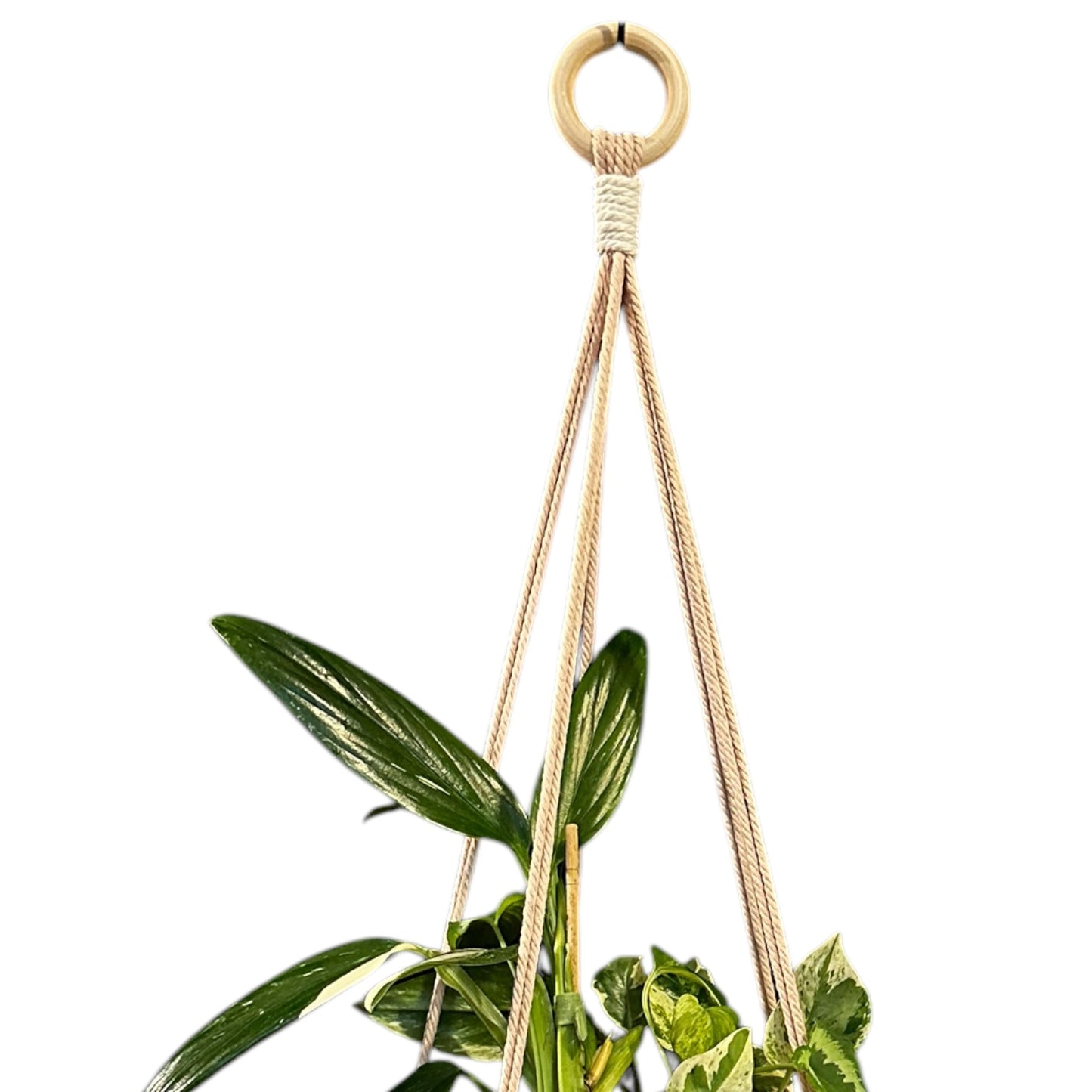 Plant Hanger | Knots