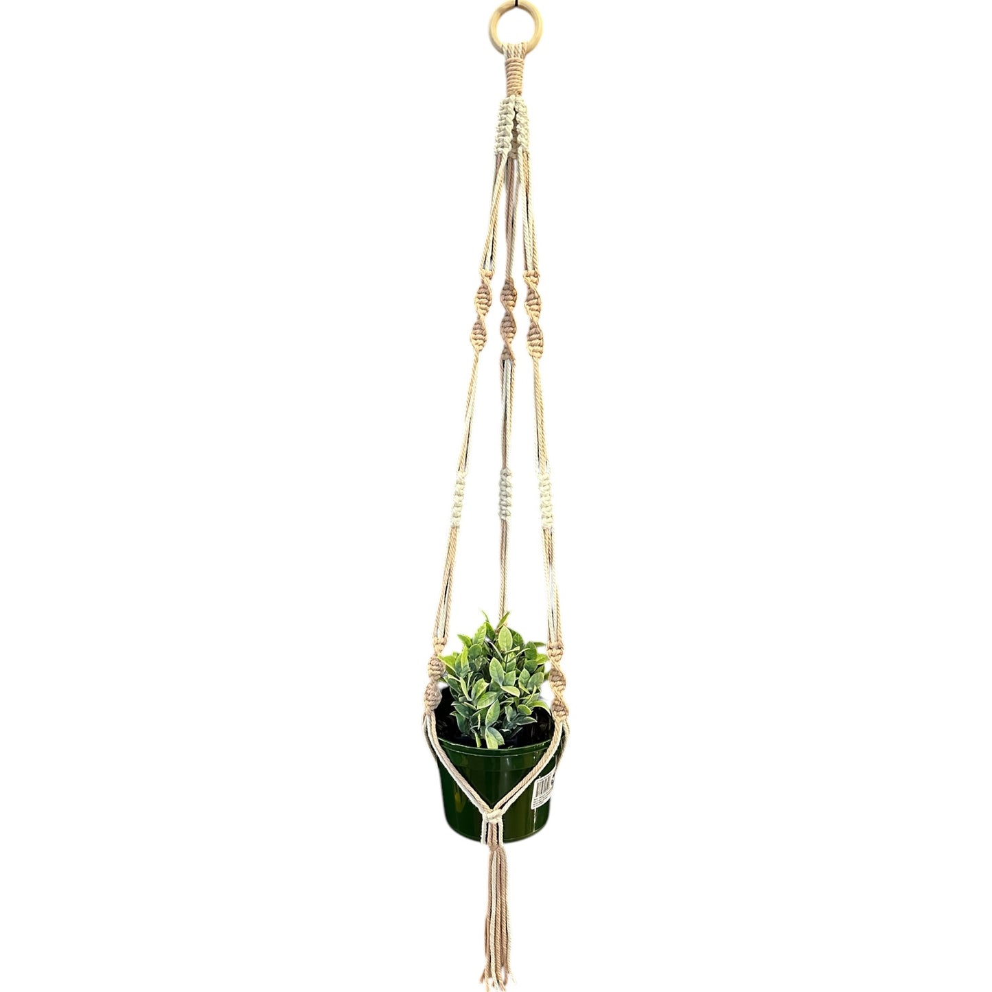 Plant Hanger | Spiral Square