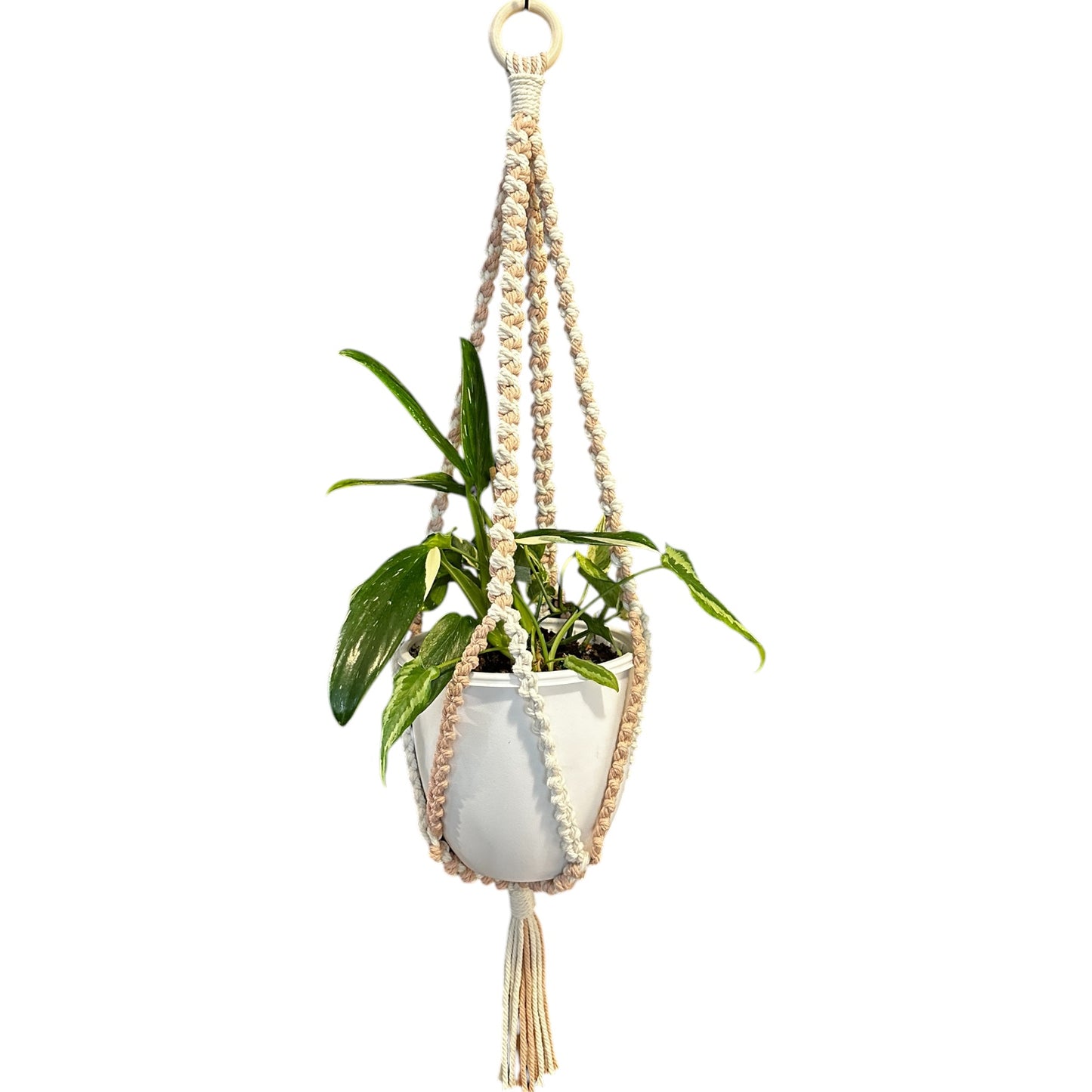 Plant Hanger | Half Hitch Knot