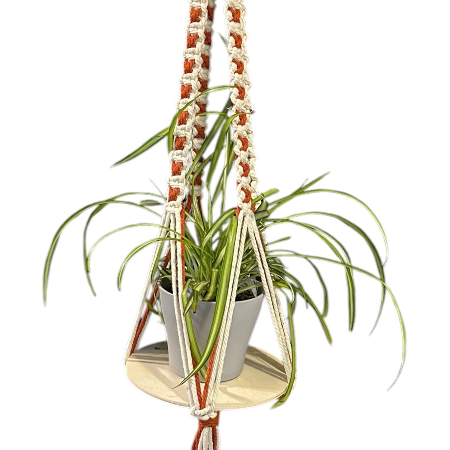 X-Pattern Plant Hanger