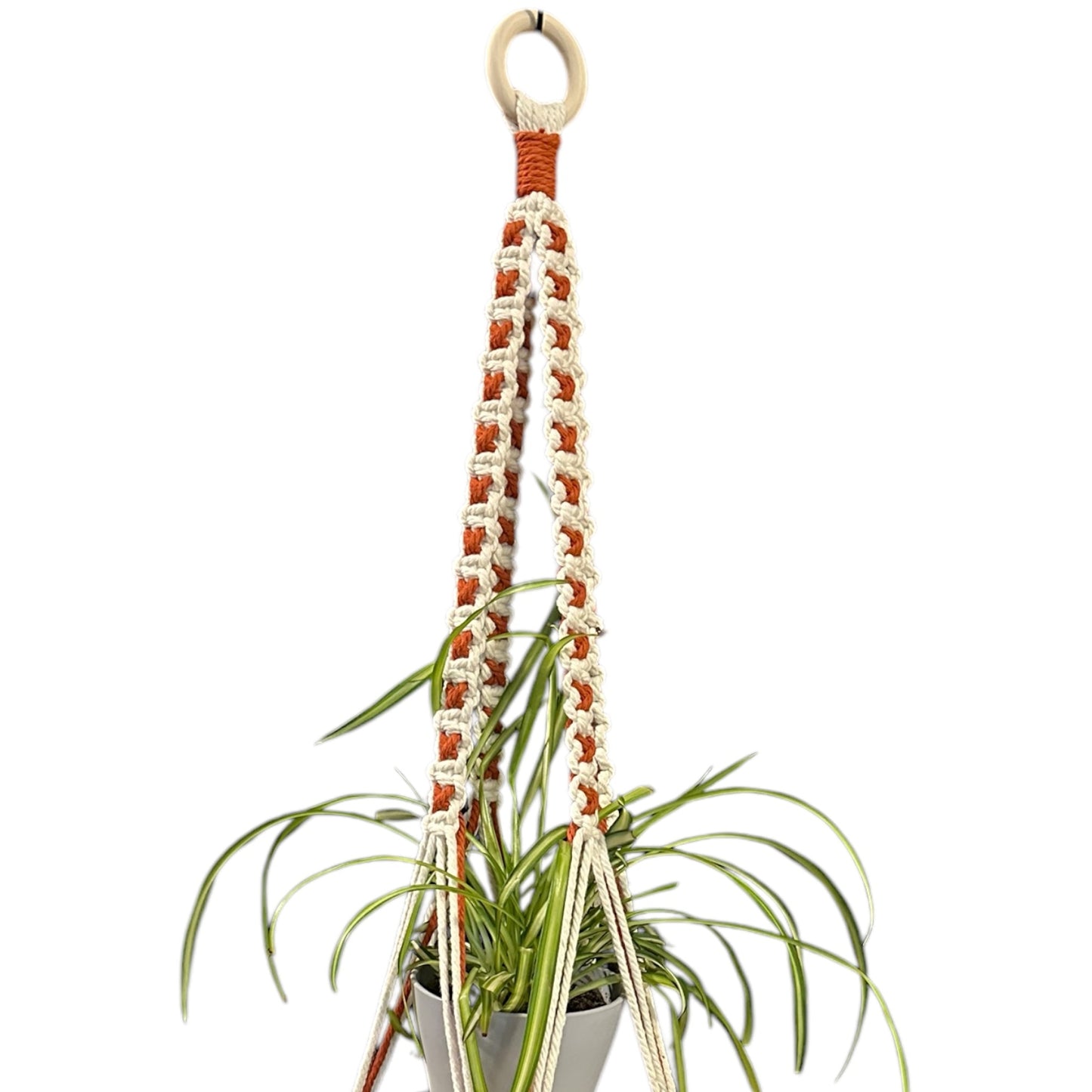 X-Pattern Plant Hanger