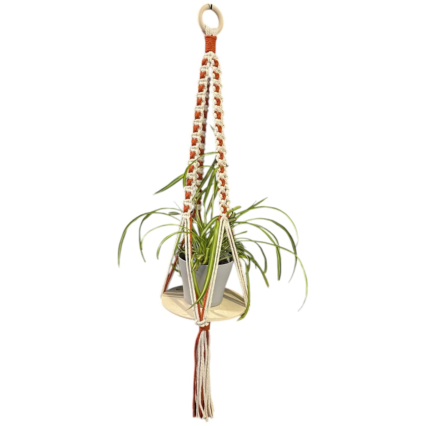 X-Pattern Plant Hanger