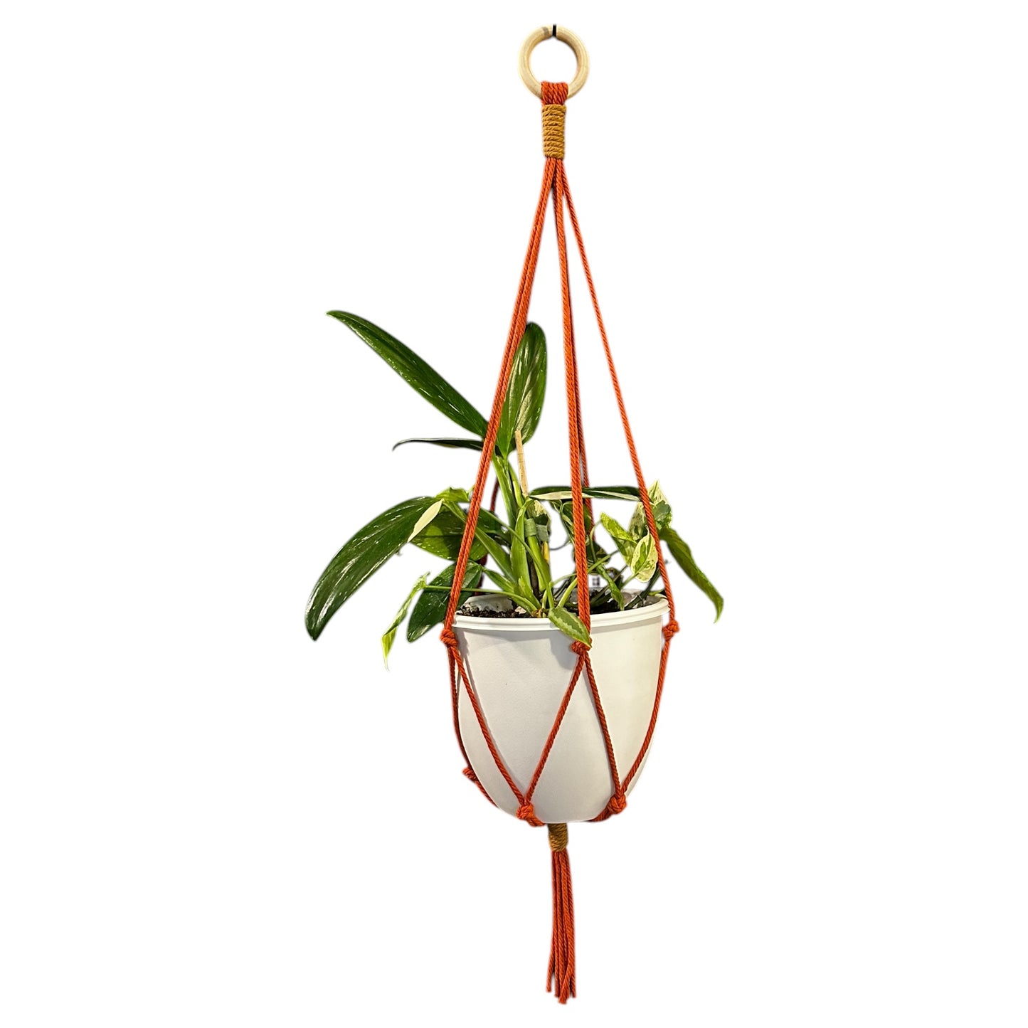 Plant Hanger | Knots