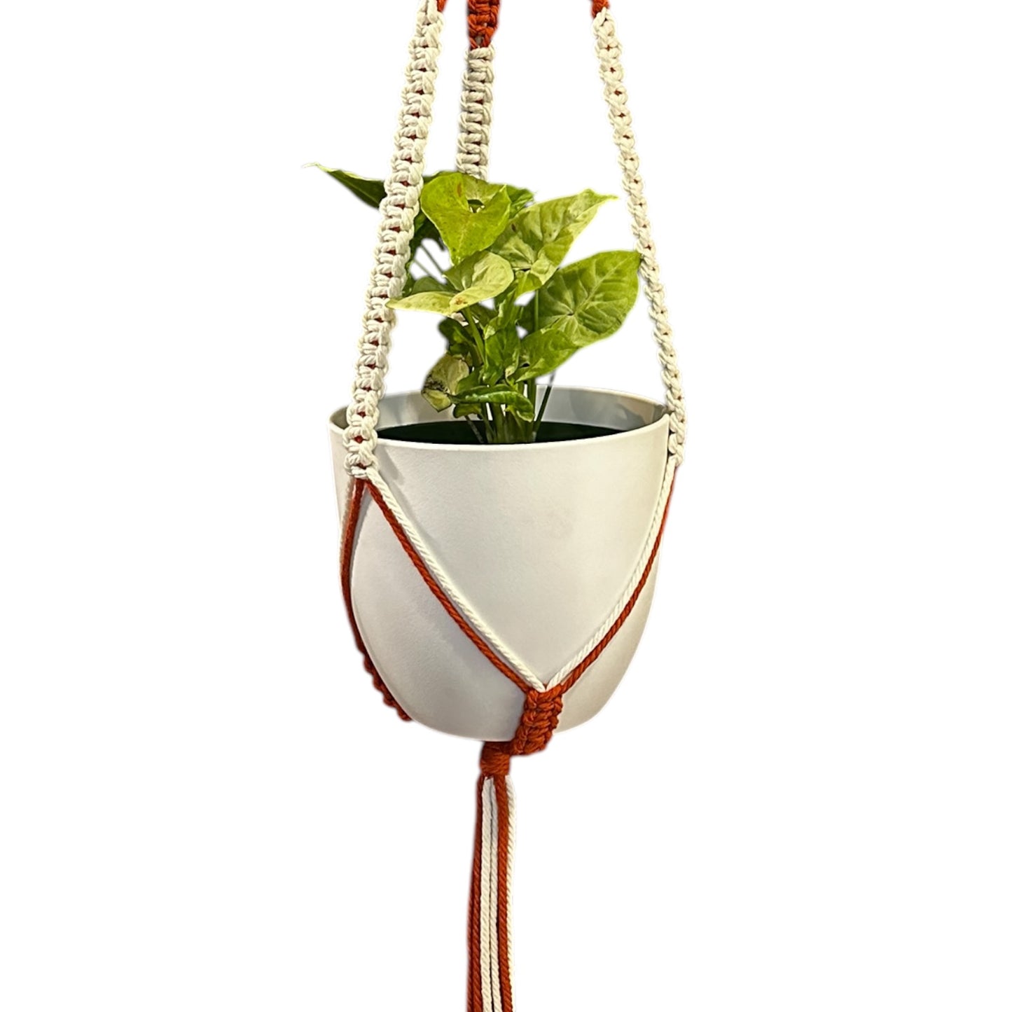 Plant Hanger | Square Knot