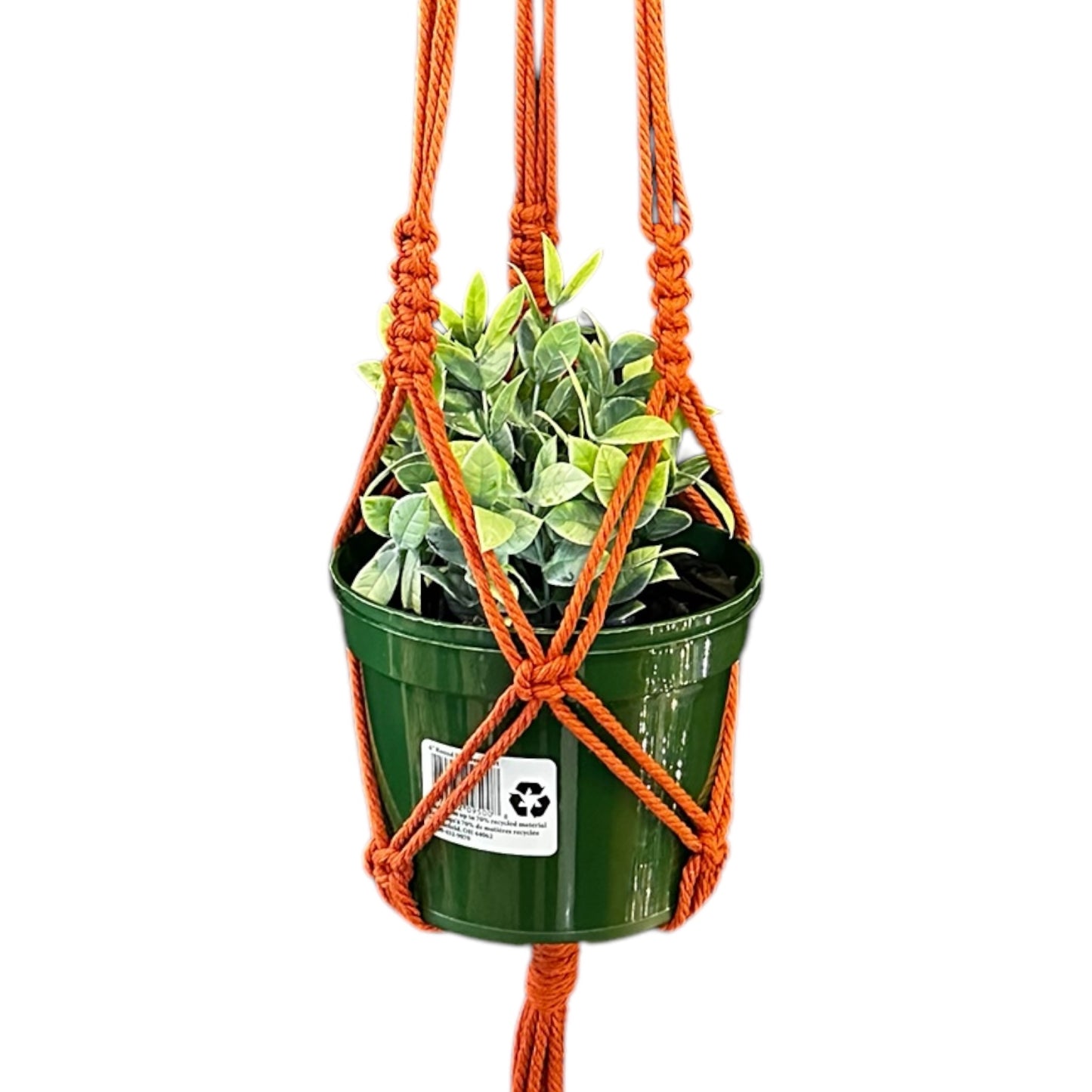 Plant Hanger | Basic