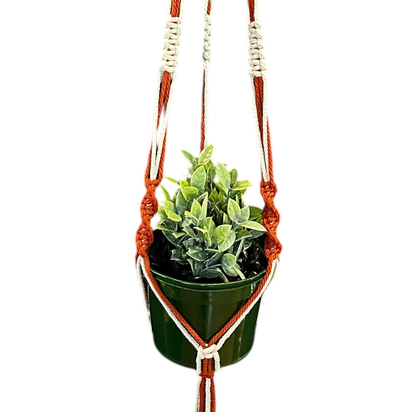 Plant Hanger | Spiral Square