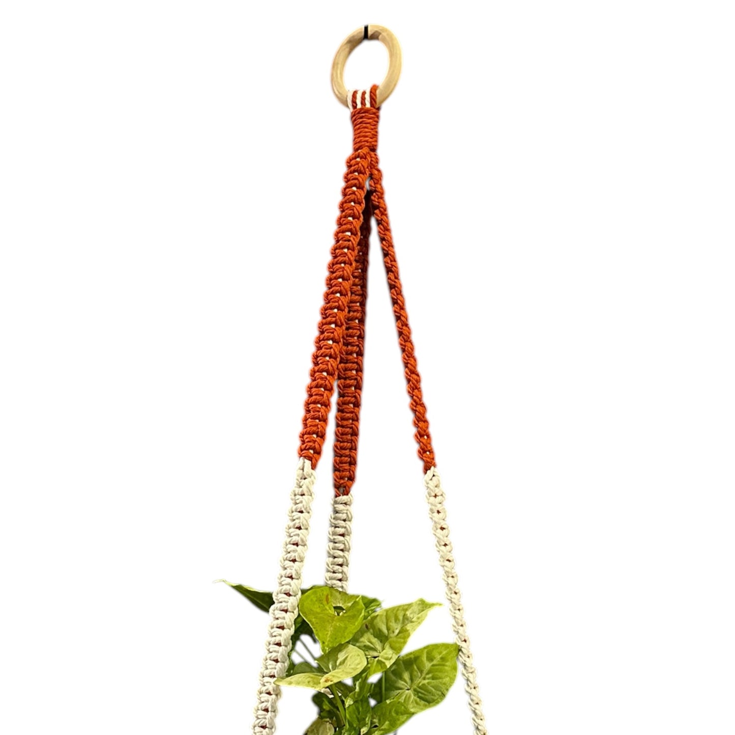 Plant Hanger | Square Knot