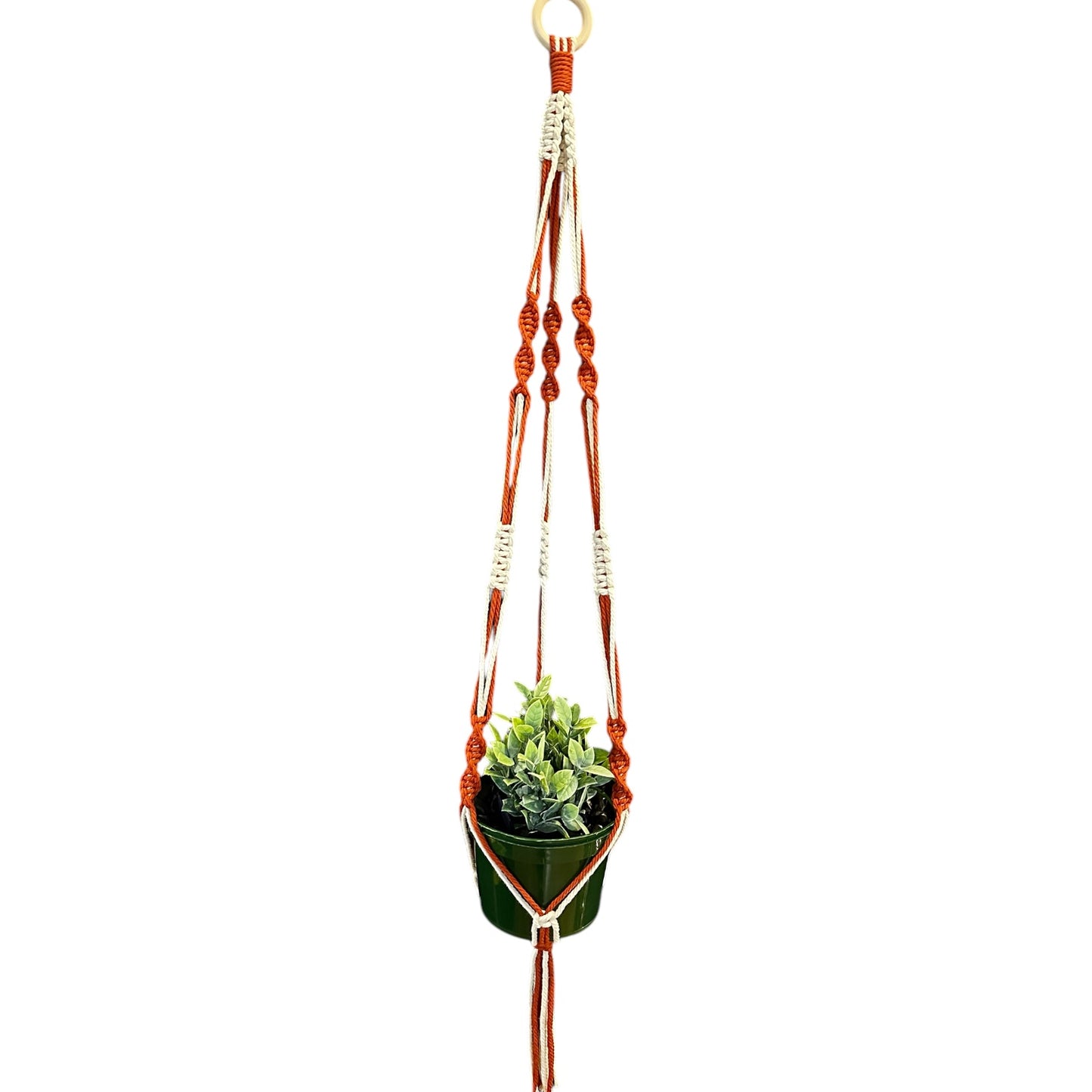 Plant Hanger | Spiral Square