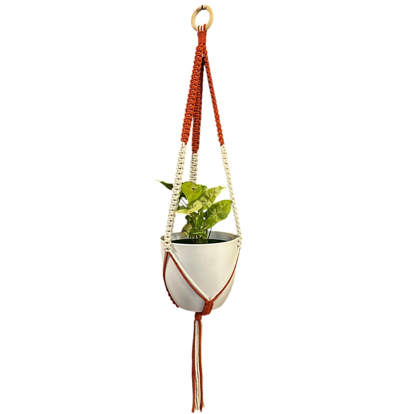 Plant Hanger | Square Knot