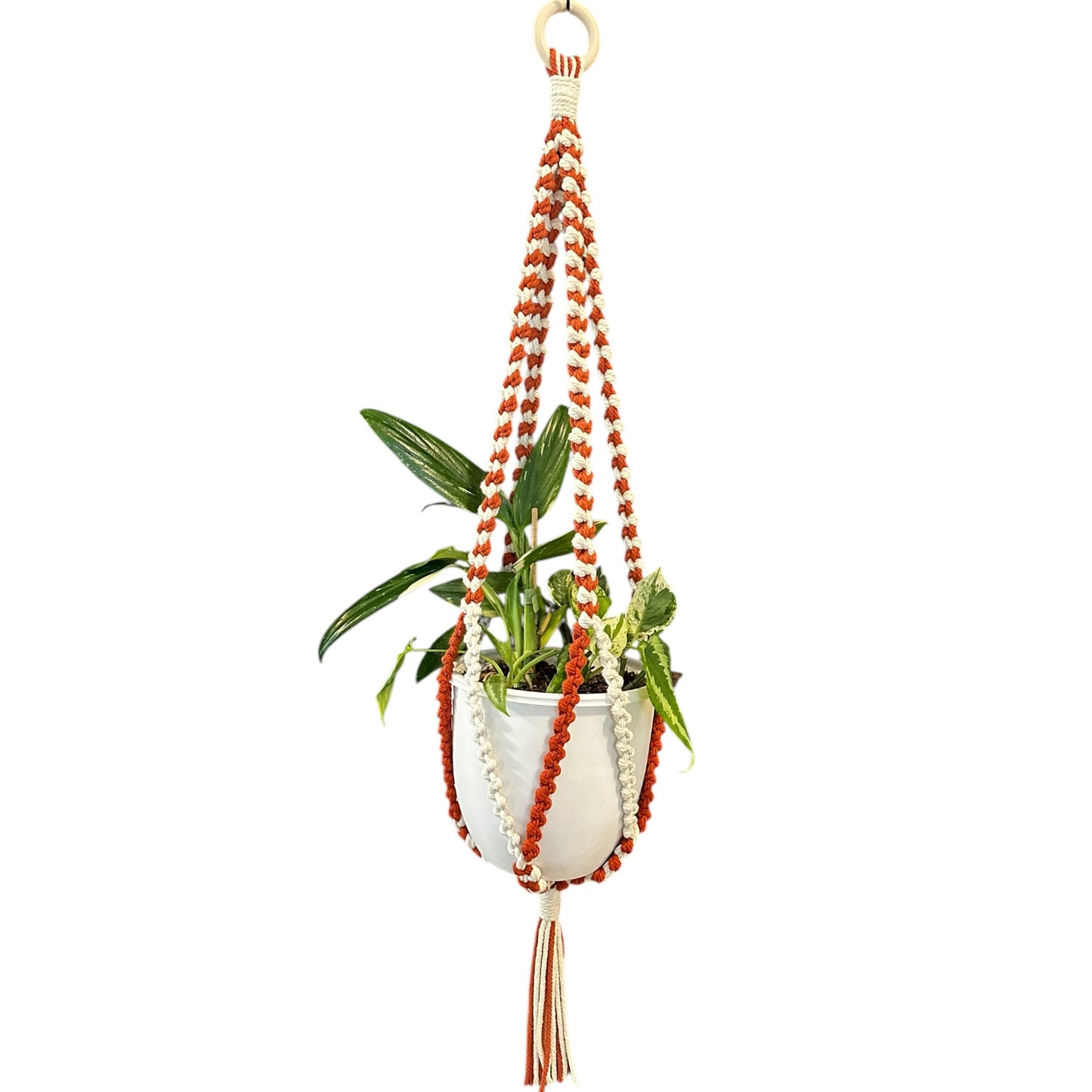 Plant Hanger | Half Hitch Knot