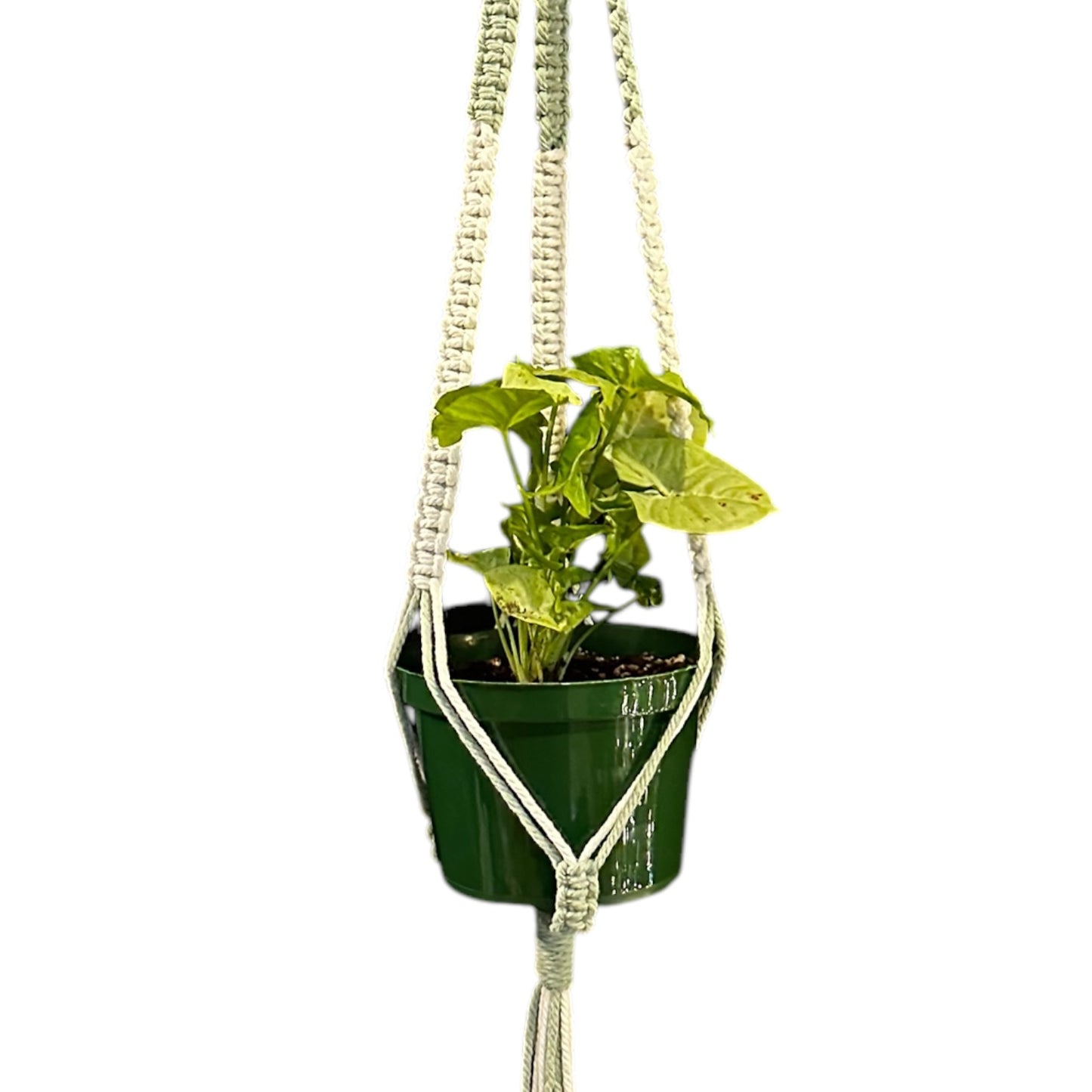 Plant Hanger | Square Knot