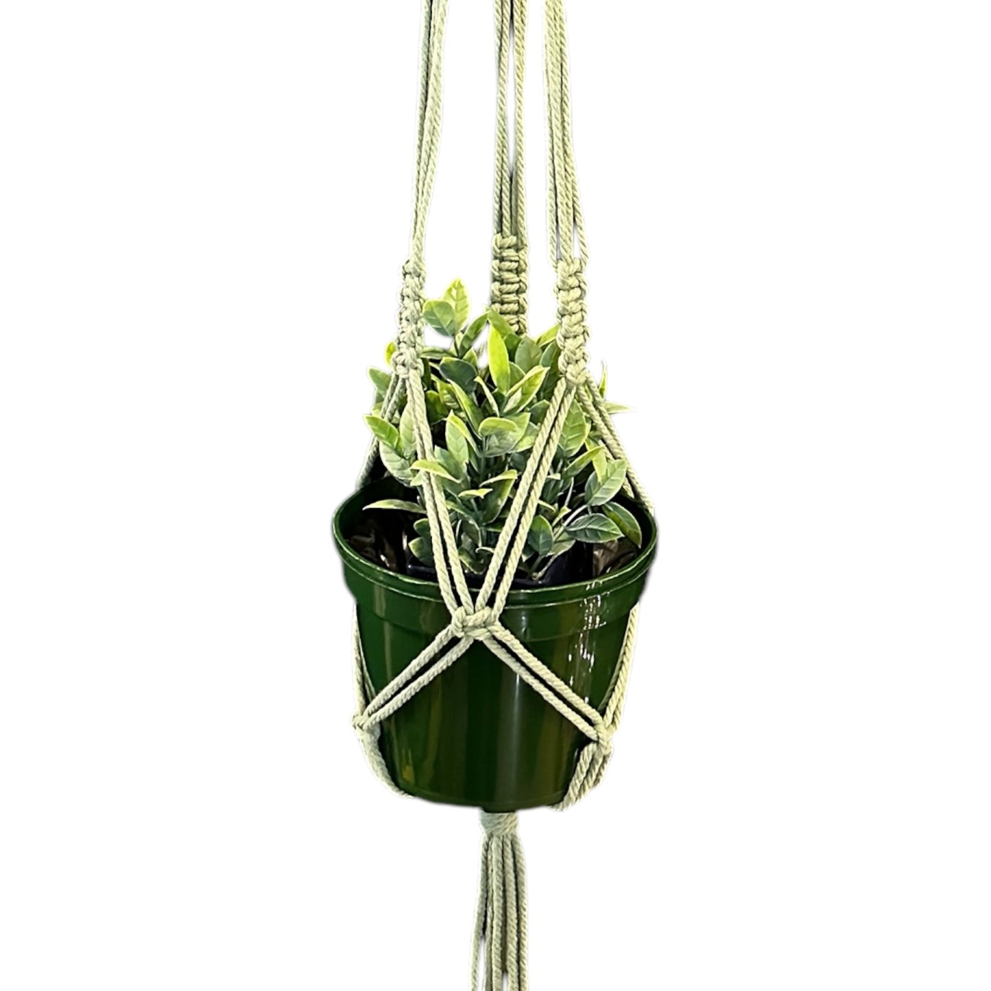 Plant Hanger | Basic