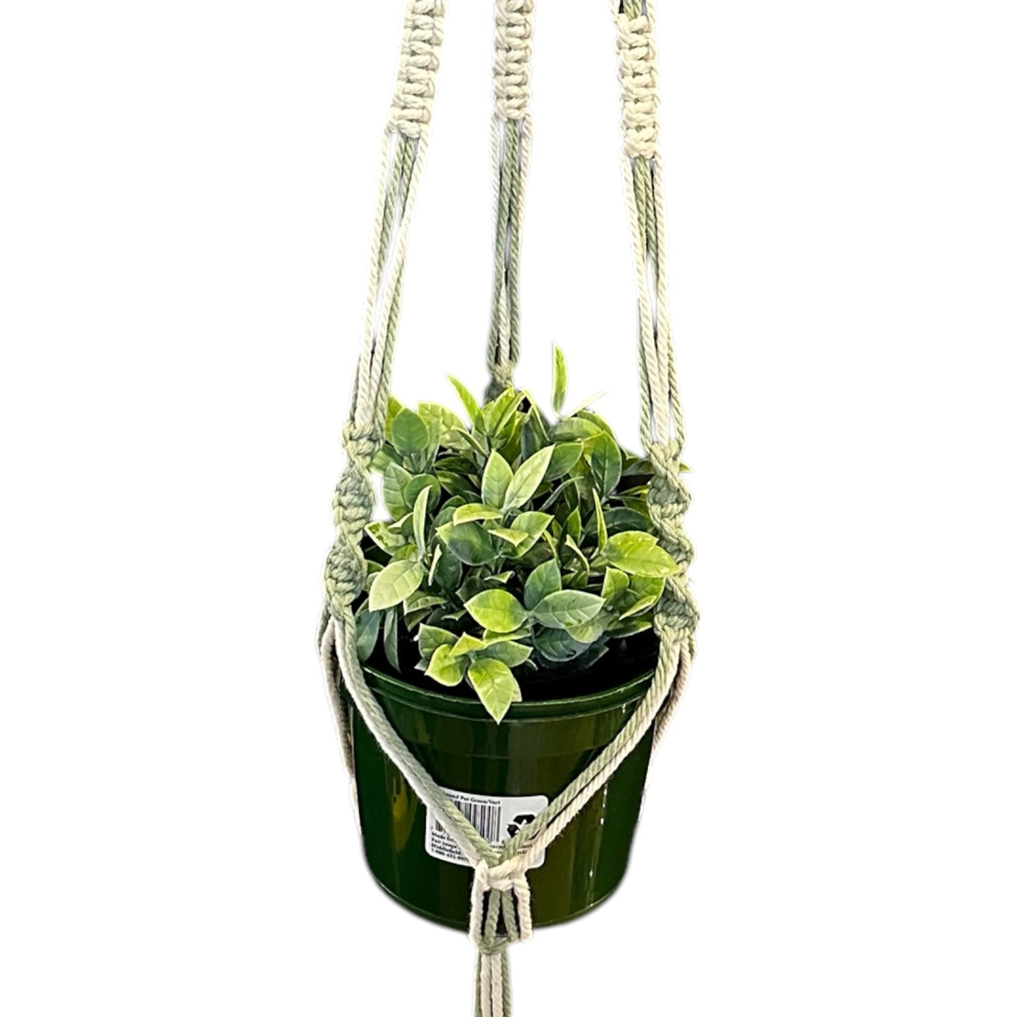 Plant Hanger | Spiral Square