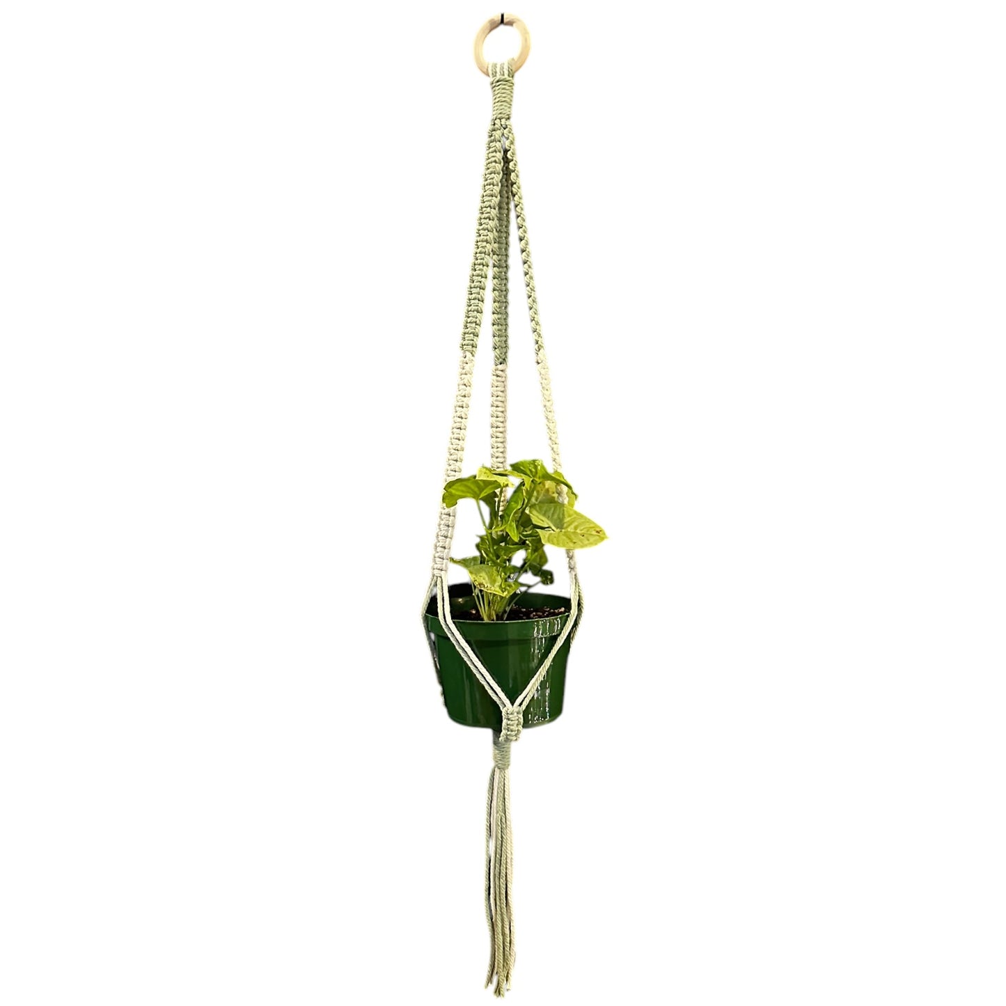 Plant Hanger | Square Knot