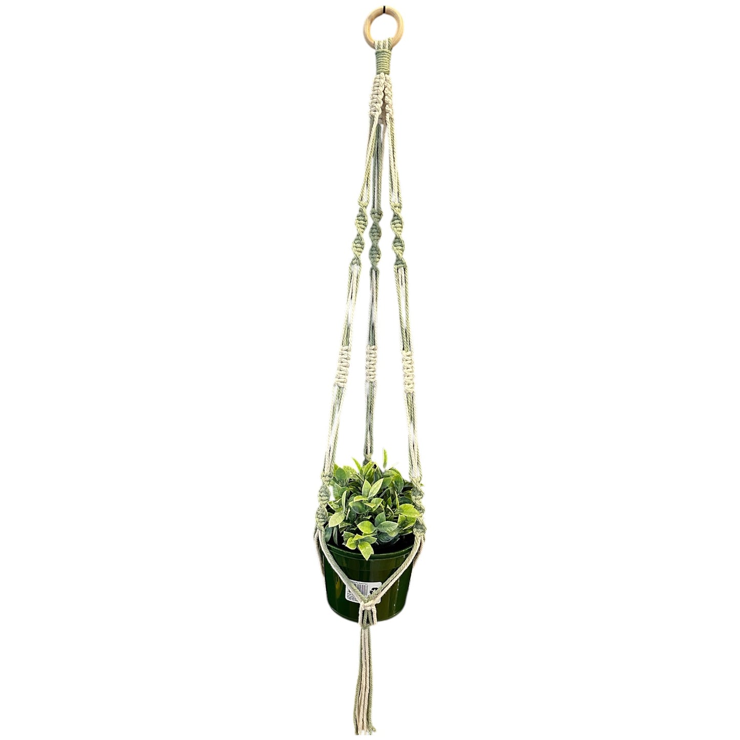 Plant Hanger | Spiral Square