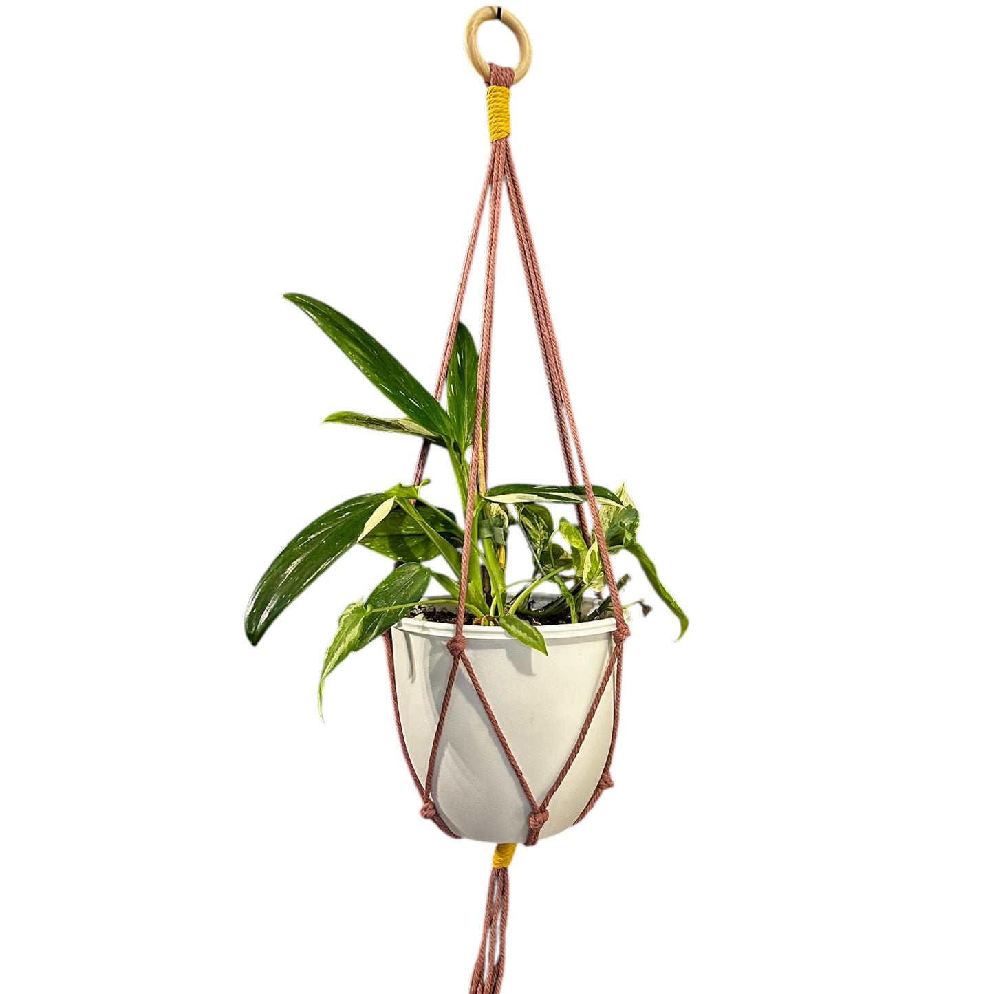 Plant Hanger | Knots