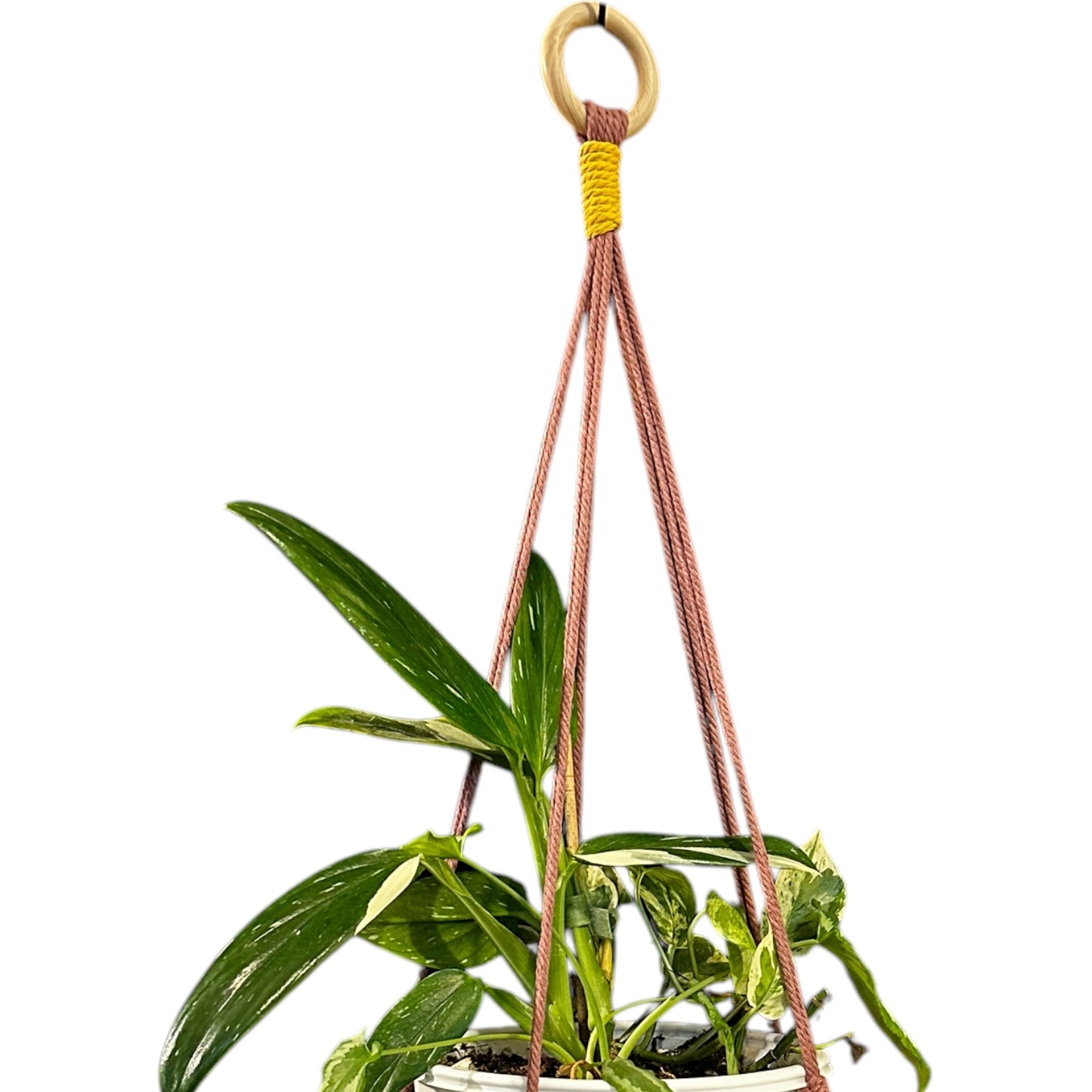 Plant Hanger | Knots