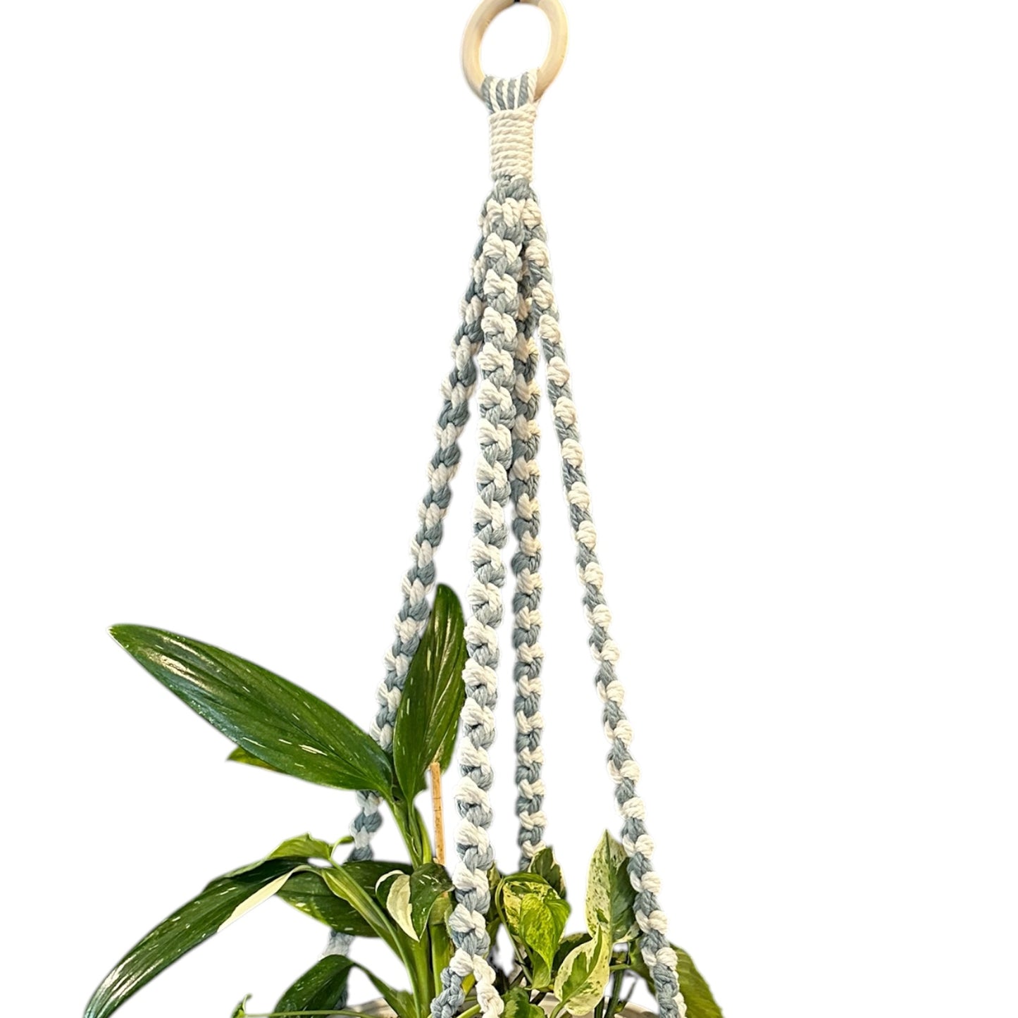 Plant Hanger | Half Hitch Knot